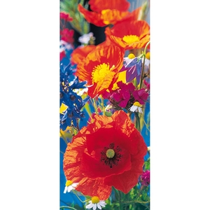 Φωτοταπετσαρία Τοίχου Φύση Λουλούδια Αll Around Deco Studio360-515