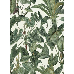 Wallpaper Floral, Erismann- Paradisio, Studio360 6303-07