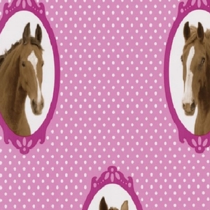 Ταπετσαρία Τοίχου Κορνίζα με Άλογα-All Around Deco- Studio360 05686-20