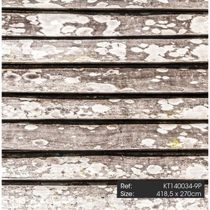 Ψηφιακή Εκτύπωση Just Wood & Concrete Vinyl