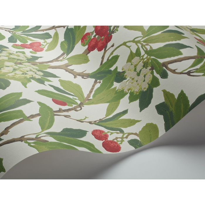 Cole & Son Archive Anthology Non Woven Wallpaper