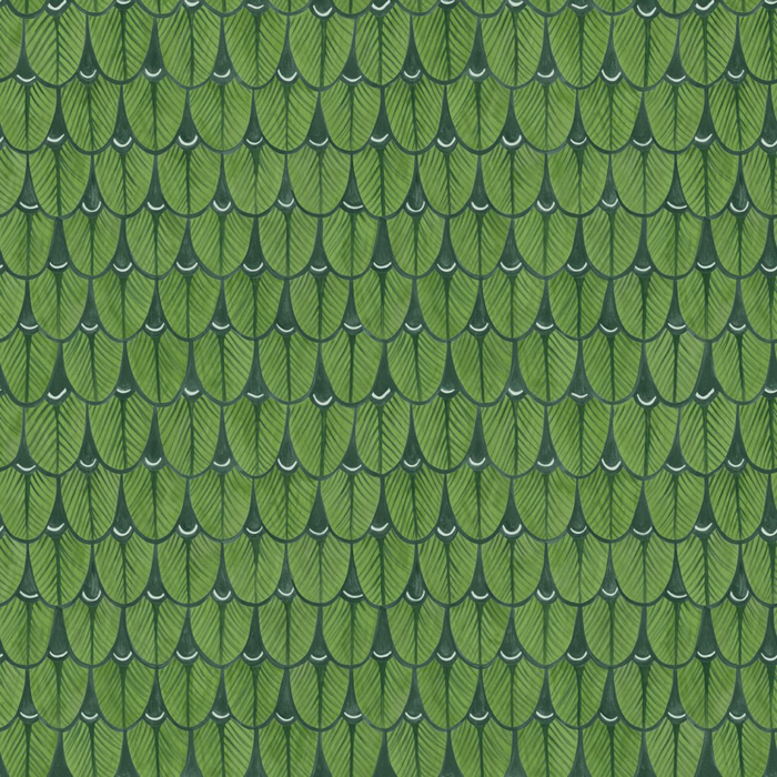 Cole & Son Ardmore Non Woven Wallpaper