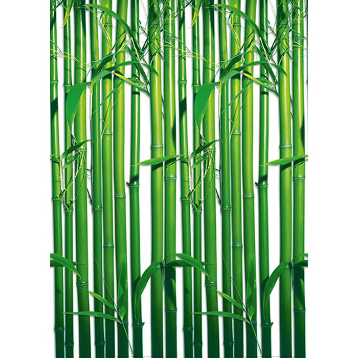 PhotoWallpaper Nature Bamboo All Around Deco Studio360-421